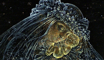 5mm